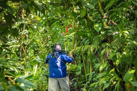 لا فورتونا: جولة الكسلان في متنزه بركان أرينال ووجبة خفيفة محلية