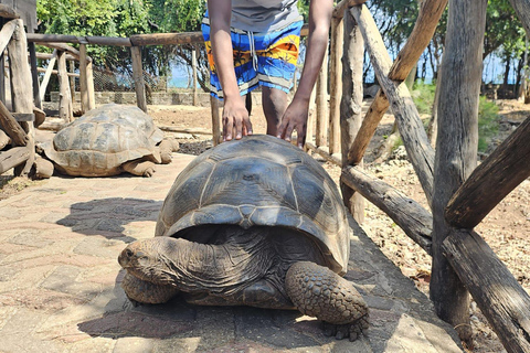 Prison island tour and stone town tour