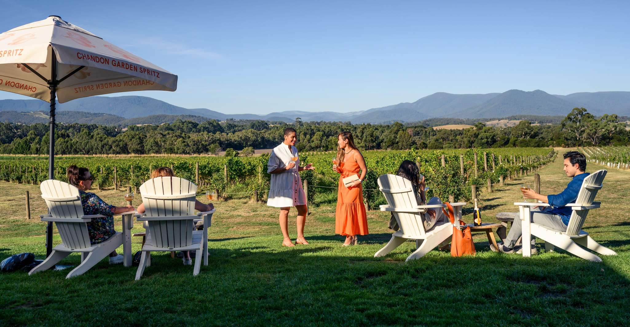 From Melbourne: Yarra Valley Chandon Cheese & Kangaroos Tour photo 16