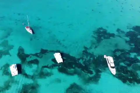 Punta Cana: Gita di un giorno con pranzo e snorkeling all'isola di Catalina