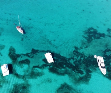 Punta Cana: Catalina Island Snorkeling and lunch Day Trip