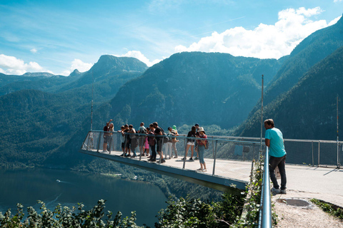 From Vienna: Hallstatt and Treetop Path Private Day Trip