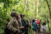 Gorilla Safari, Bwindi undurchdringlicher Nationalpark - Housity