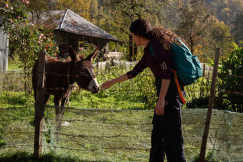 巴库出发：阿斯塔拉一日游含西姆瀑布徒步从巴库出发：阿斯塔拉一日游，含西姆瀑布徒步之旅