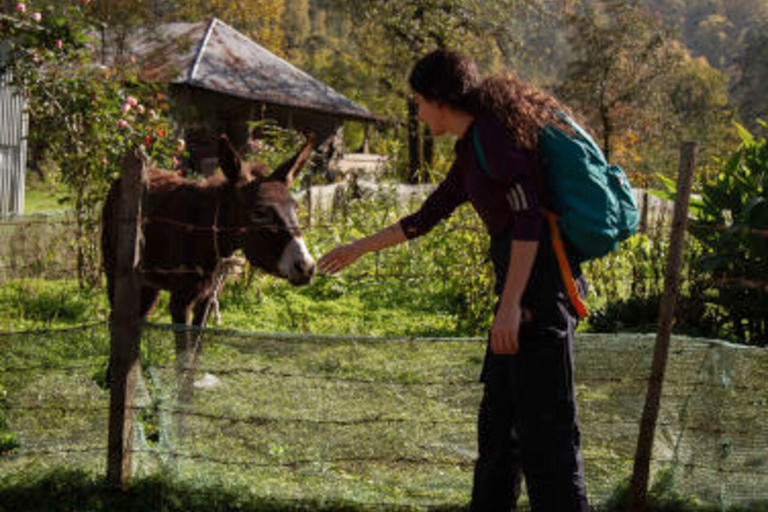 巴库出发：阿斯塔拉一日游含西姆瀑布徒步从巴库出发：阿斯塔拉一日游，含西姆瀑布徒步之旅