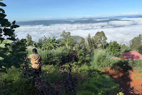 Musanze, Volcanoes National Park Region Day Trip from Kigali Standard Small Group Option