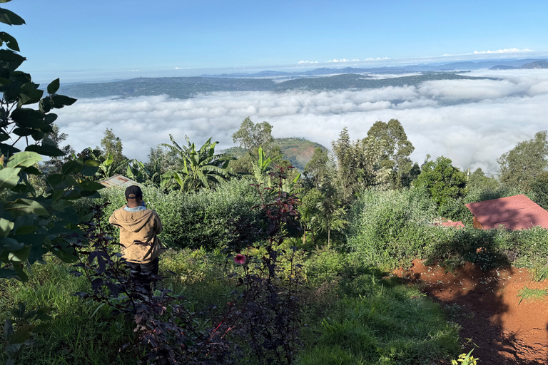 Musanze, Volcanoes National Park Region Day Trip from Kigali Standard Small Group Option