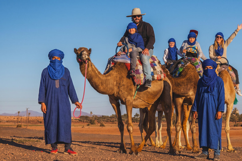 Marrakech: Palmeraie Camel Ride with Mint Tea & Pickup