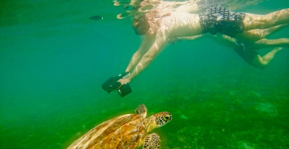 San Juan: Jet Snorkeling Adventure with Sea Turtle Spotting
