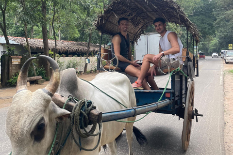 Habarana: Pure Village Life and Cultural Experience Day Tour we make real and untouched sri lankan experience