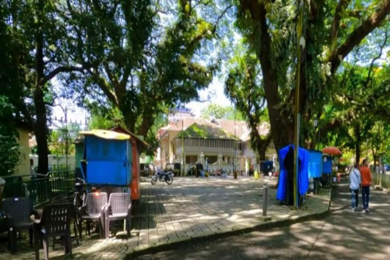 جولة ركوب الدراجات في ضوء القمر في كوتشي