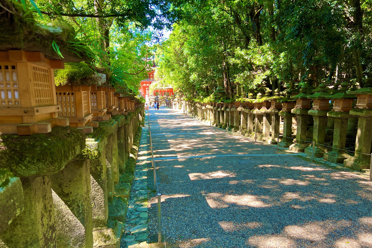 Visite privée de Nara. Le cœur ancien du Japon