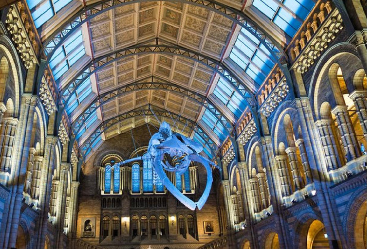 London: Natural History Museum Guided Tour