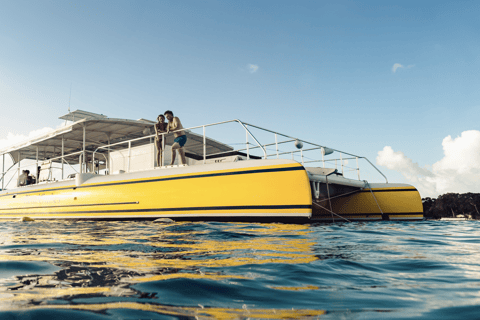 Barbados: Sunset Cruise with Live Steel Pan Music and Dinner