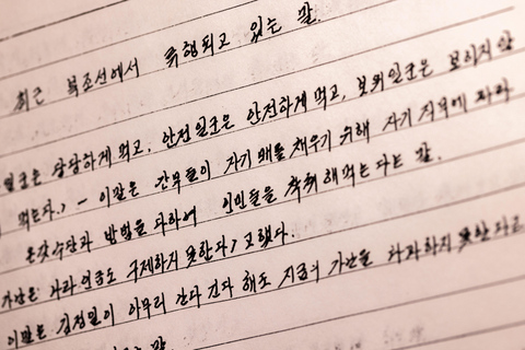 Seoul: Immersive North Korea Defector Museum with Curator