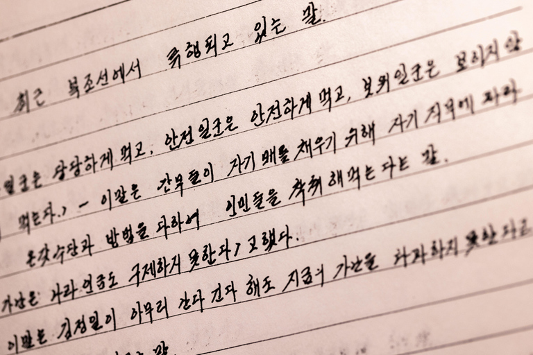 Seoul: Immersive North Korea Defector Museum with Curator