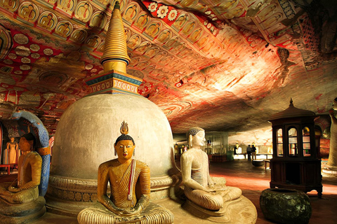 From Colombo: 5-Day Private Sri Lanka Tour with Driver