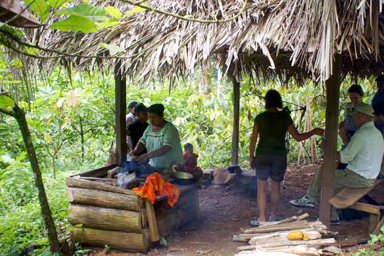 Indigenous Cacao Tour in Bocas del Toro
