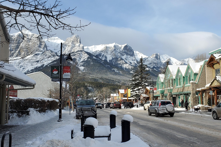 Z Calgary do Banff: wycieczka 1-dniowa z wizytą w schronisku dla psów wilczastychZ Calgary do Banff: wycieczka 1-dniowa z wizytą w rezerwacie wilków