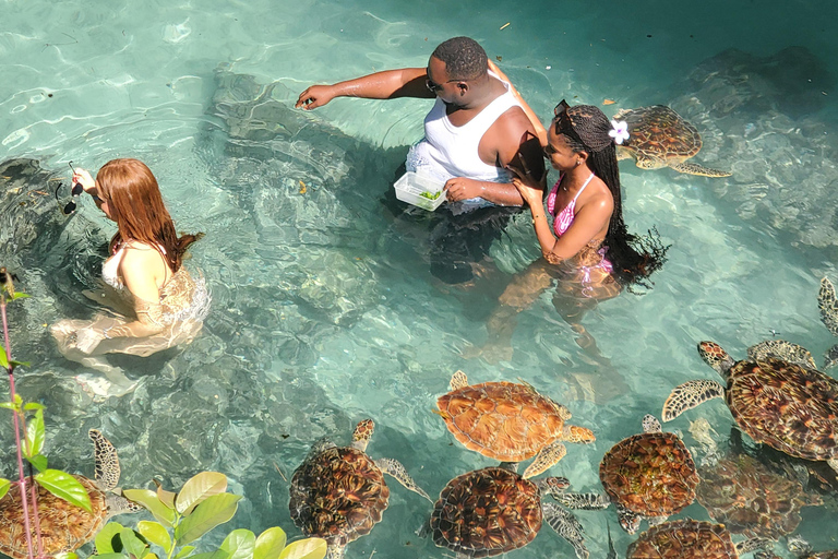 Salaam-grottan där man kan simma med sköldpaddor och Mtende-strandenPrivat tur från Paje, Kizimkazi, Michanvi, Jambiani