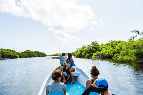 Excursión a Ría Lagartos, Coloradas y Playa CancúnitoMerida: Ria Lagartos, Coloradas &amp; Cancunito Beach Excursion