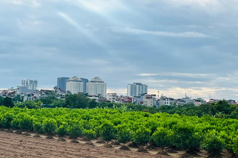 河内吉普车探索之旅：河内希尔顿、城堡、B52和火车站乘坐吉普车探索河内市