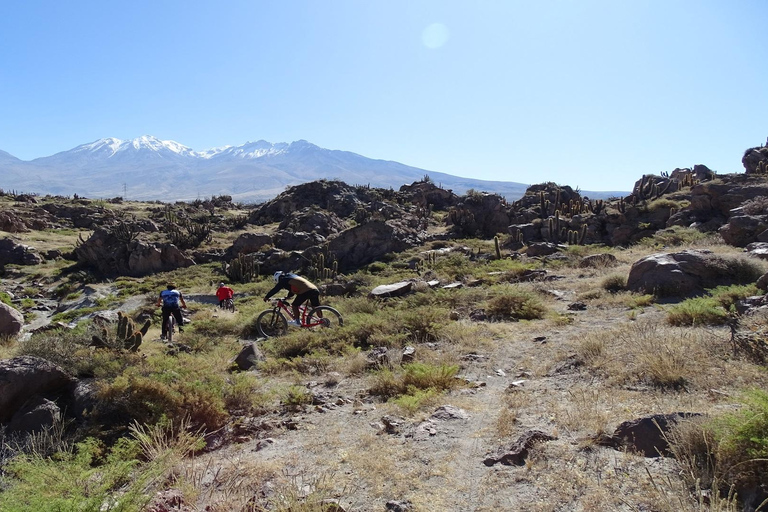 Arequipa: Parque Las Rocas e passeio de bicicleta pelo Vale Chilina