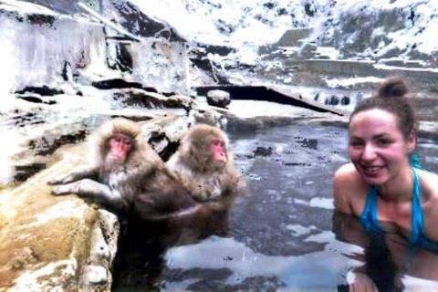 From Tokyo: Nagano Full Day Private Snow Monkey Park Tour