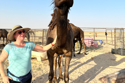 Arabian 1001 Nights - Safari sous tente privée avec nuitée