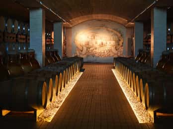 Wine Tour "The pearls of Manduria"