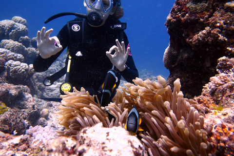 Blue Bay: Discover Scuba Diving