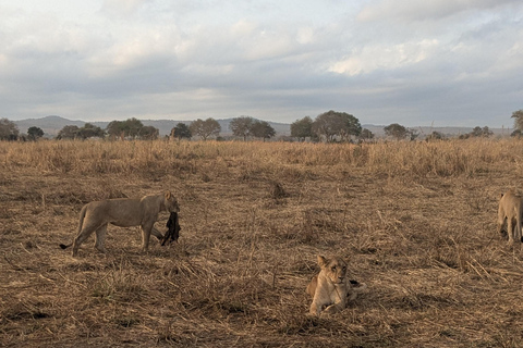 SAFARI ANIMALIER DE ZANZIBAR À MIKUMI 3 JOURS ET 2 NUITS