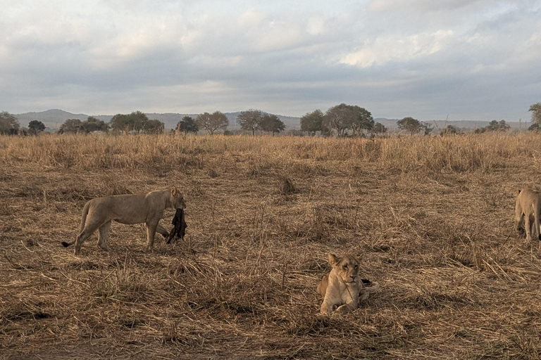 SAFARI ANIMALIER DE ZANZIBAR À MIKUMI 3 JOURS ET 2 NUITS