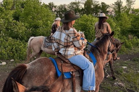 BBQ italien et randonnée à cheval sur le mont Vésuve de nuitPompéi : Randonnée nocturne à cheval sur le mont Vésuve et barbecue italien