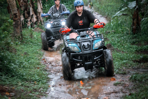 Bali: Dolphin Swimming Tour with ATV Quad Bike & Waterfall Dolphin, Waterfall, Tandem ATV Bike (Central & South Bali)