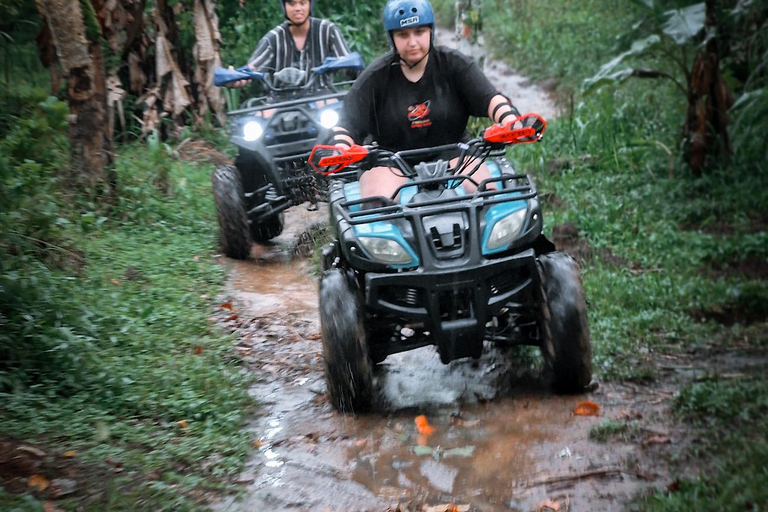 Bali: Dolphin Swimming Tour with ATV Quad Bike & Waterfall Dolphin, Waterfall, Tandem ATV Bike (Central & South Bali)