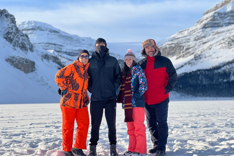 Lake Louise, Emerald Lake, Marble Canyon, Banff TownBanff: tour del lago Louise, del lago Emerald e del Johnston Canyon