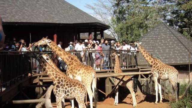 Nairobi: Giraffes Centre,Karen Blixen Museum Tour.