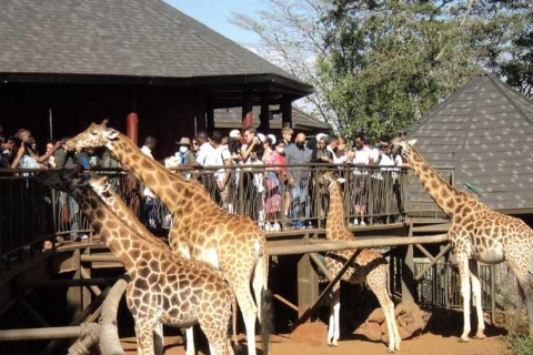 Nairobi: Centrum Żyraf, Zwiedzanie Muzeum Karen Blixen Z lunchem.