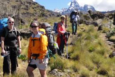 Caminhada de 1 dia no Monte Quênia saindo de Nairóbi