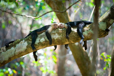 Parque Nacional del Corcovado: Dos días de selva y animales