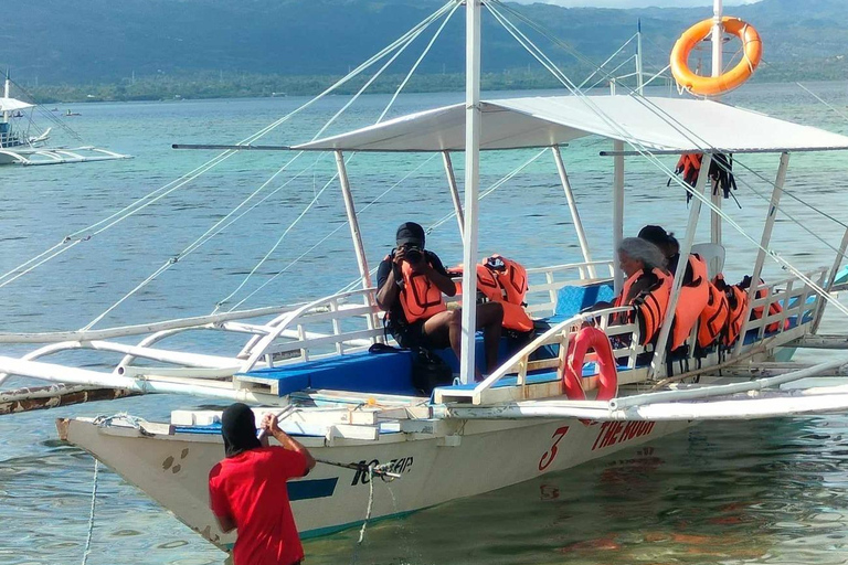 Moalboal: Island Hopping Adventure & Kawasan Falls Excursion