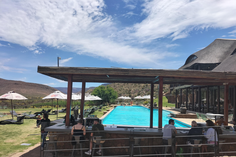 Kaapstad Big 5 Safari-dagtour met ophaalservice vanaf je hotel en GameDriveBeleef een spannende Big-5 safari in Kaapstad