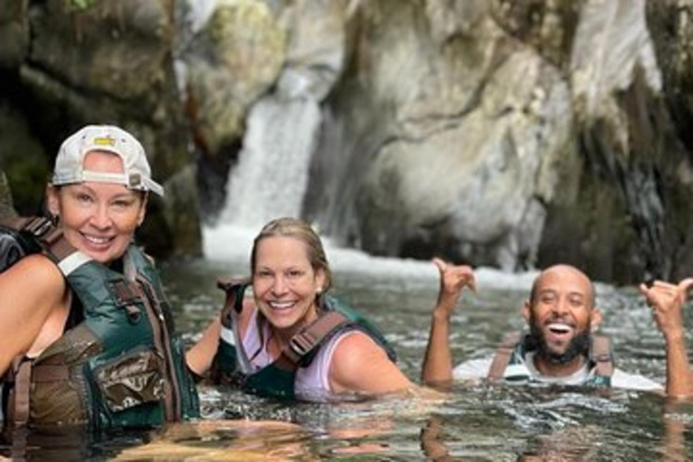 San Juan : Excursion d&#039;une journée dans la forêt tropicale d&#039;El Yunque (groupe maximum de 6 personnes)San Juan : Excursion privée d&#039;une journée dans la forêt tropicale d&#039;El Yu