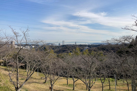 Visiting the former territory of William Adams in Miura