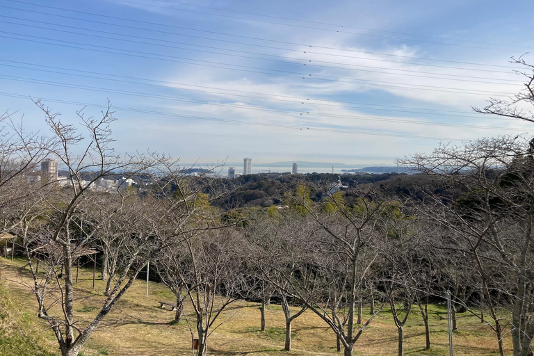 Visiting the former territory of William Adams in Miura