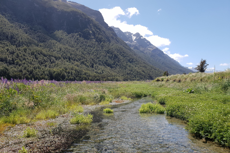 Milford Sound Day Tour From Te Anau