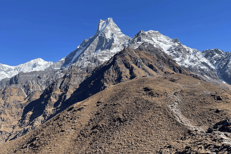 Pokhara: Mardi Himal Base Camp Helicopter Tour
