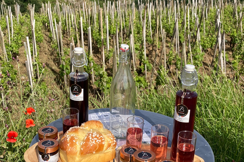 DUO OUDERS KINDEREN WIJN CÔTE-RÔTIE TOUR BEZOEK