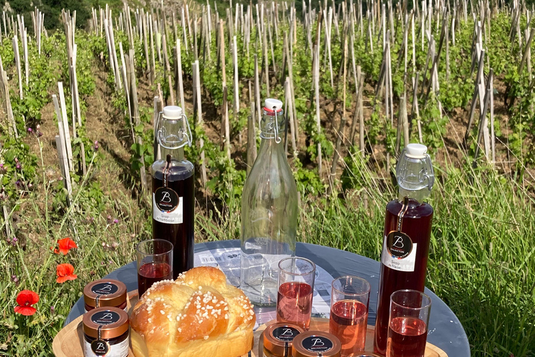 DÚO PADRES HIJOS VINO CÔTE-RÔTIE VISITA TURÍSTICA